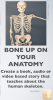 Load image into Gallery viewer, LifePractice PBL Individual Units